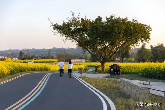 喜讯!瞿上田园正式获评国家3A级旅游景区!
