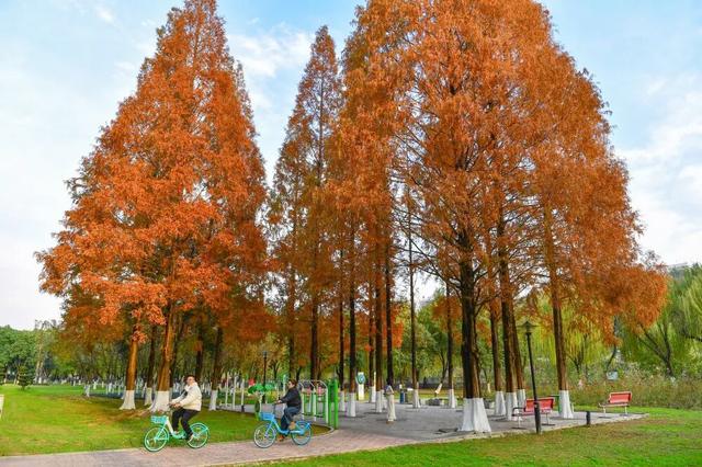 青睐绵阳 || 这里，绝美，超出片！