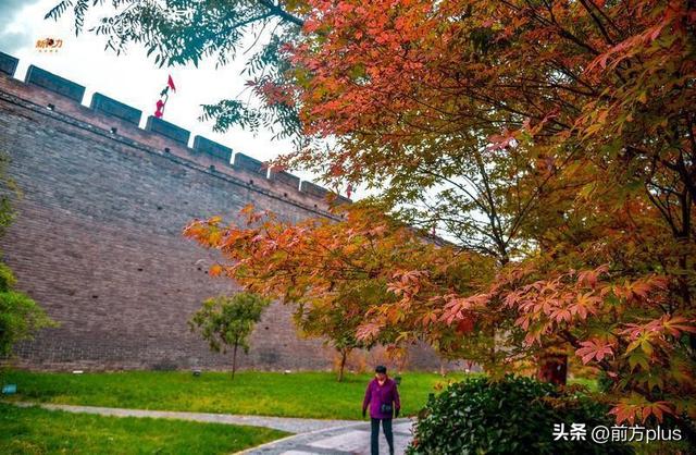 古城与秋叶的交响