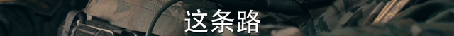 对不起我弃剧了，《猎豹》被观众要求下架：把武警拍成草台班子！