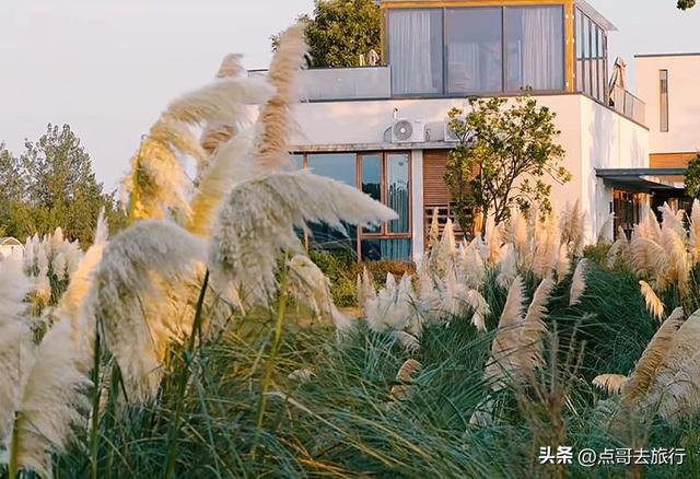 成都超级冷门公园，成都西湖，不要门票，仙境美如泸沽湖！