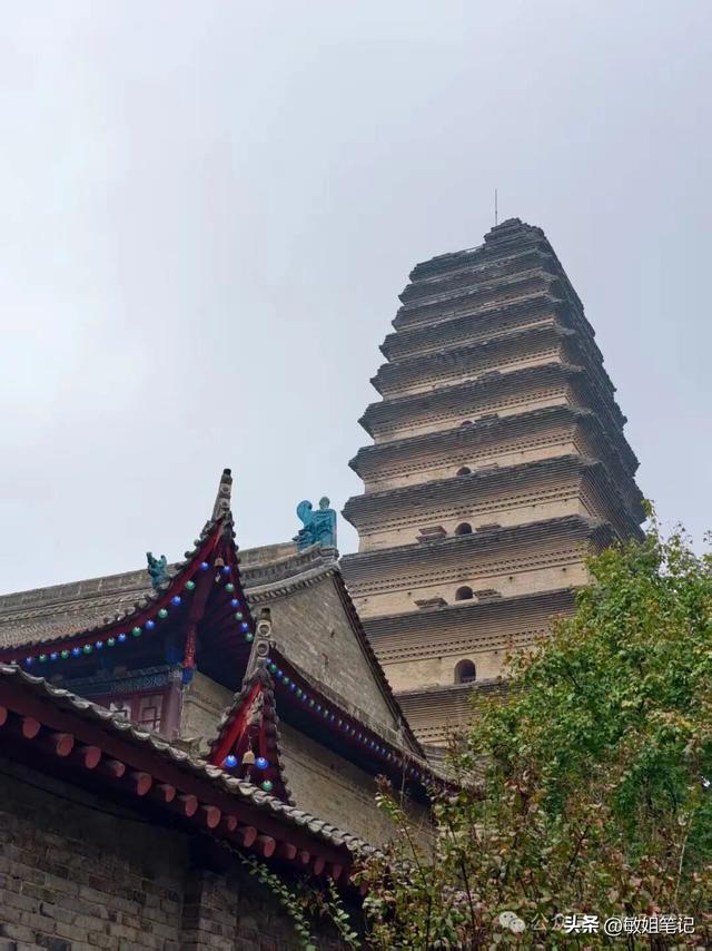 【西安游学之三】文博探秘：西安博物院