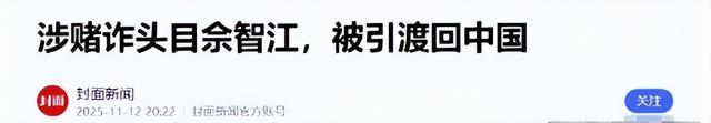 拔出萝卜带出泥！49岁赵薇近况被曝，原来圈内封杀只是冰山一角