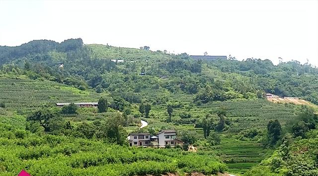 地名里的重庆 | 丰都虎威镇：以山形定名，因传说添韵