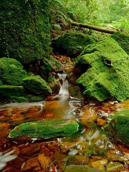 速来打卡!2025 金秀盘王节,解锁瑶族文化狂欢新姿势