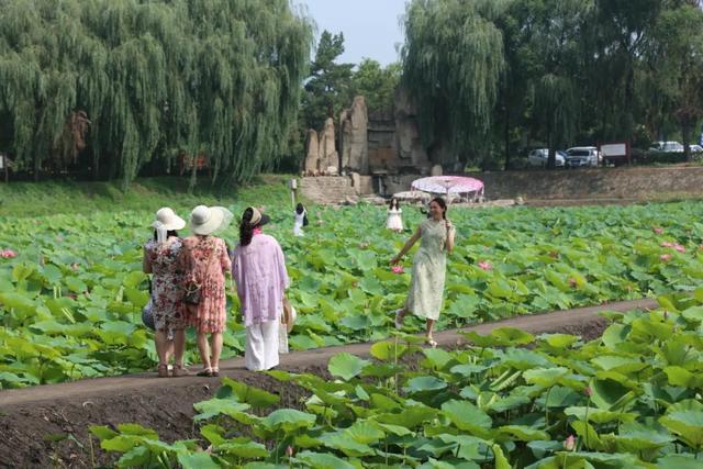 【文明旅游】太原：难老泉润稻荷香