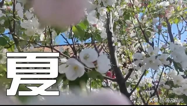 张建德｜写在吴城“村晚”的一段记忆