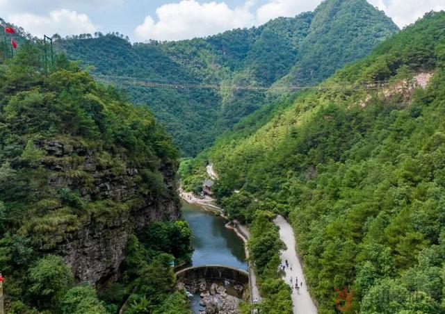 “活力大湾区，魅力新广州”来梧州旅游的大湾区小伙伴都在刷这句？原来是因为……