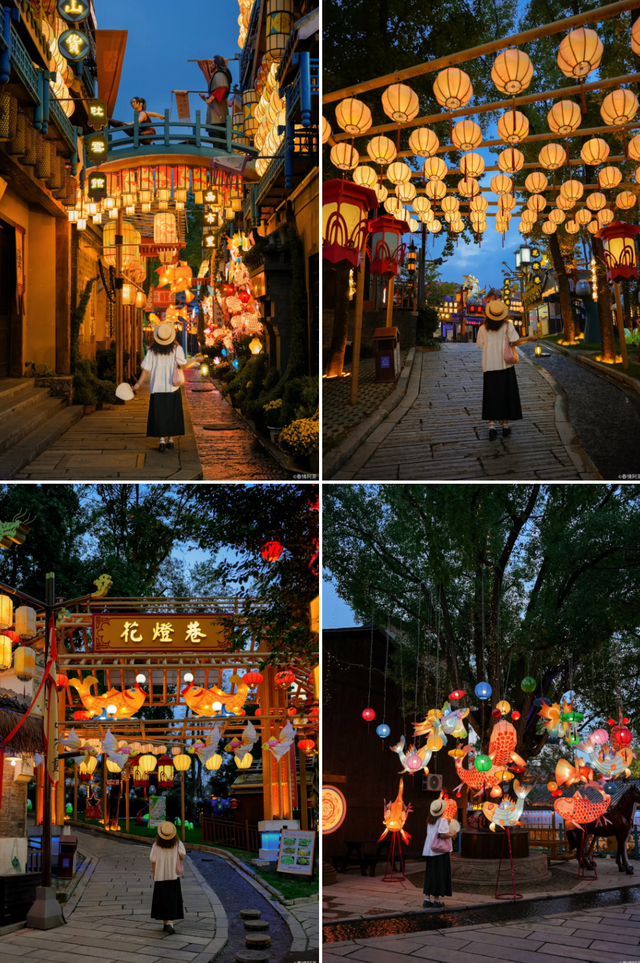 300000+菊花已绽放！木兰不夜城邀你来看花