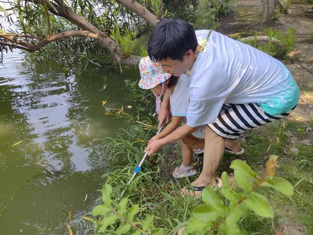 城市印象丨一个随州人的天门行记