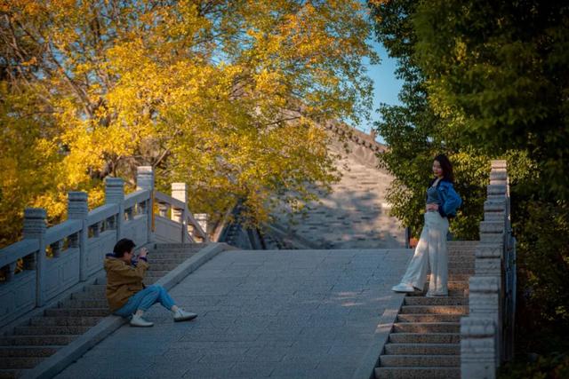 抓住秋天的尾巴 | 台儿庄古城秋色打卡指南，附私藏机位！