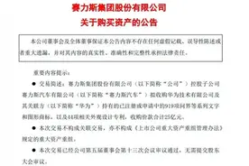 25亿转让商标，华为抛弃赛力斯？图片