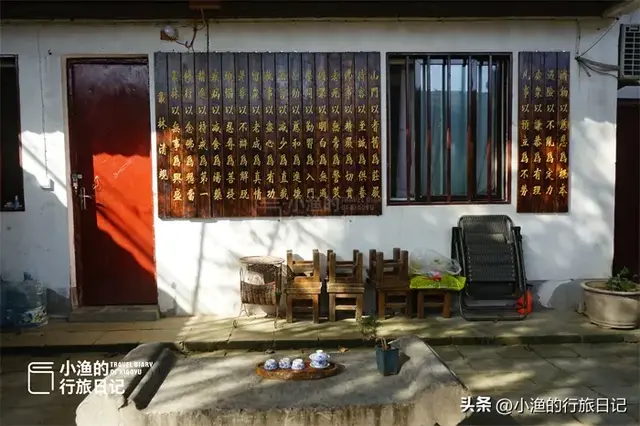 黄了黄了！西安秦岭1700年神仙古树，又到一年最美时！