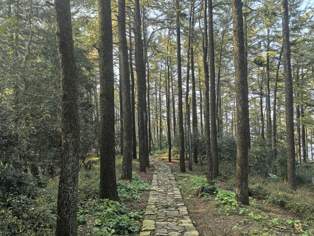 浙江湖州市德清县莫干山国家风景名胜区游记（下）