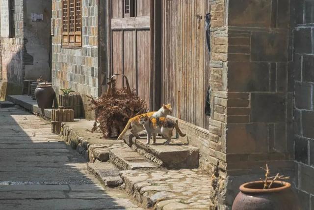 高铁1.5h！这座人少好玩无敌好吃的浙江名城，也免门票啦