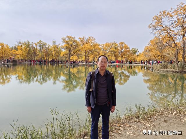 金塔胡杨林