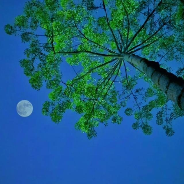 来，一起为怀集的美点赞！