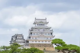 在日本10年了，永住资格也得到了，我想回国了图片