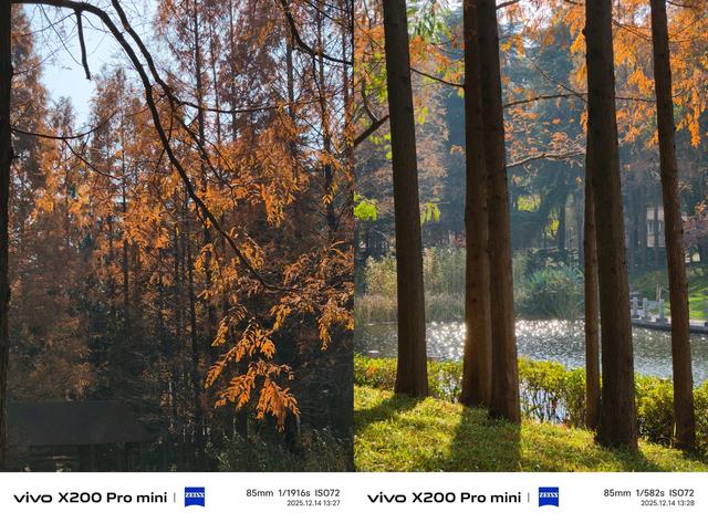 从锤子到 Pixel	，我终于找到了适合自己的 6.3 英寸「小屏旗舰」