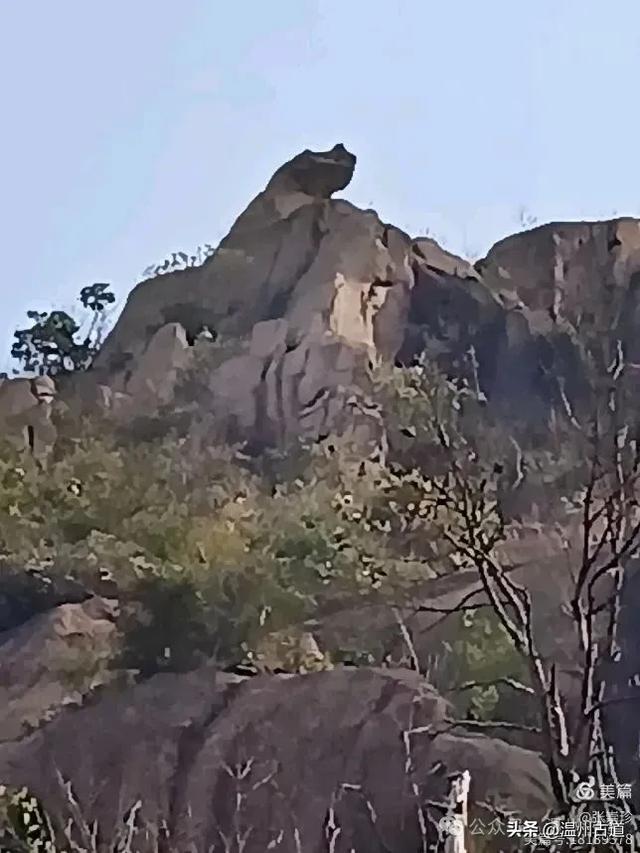 大罗山这条改造过的登山步道你可去过?
