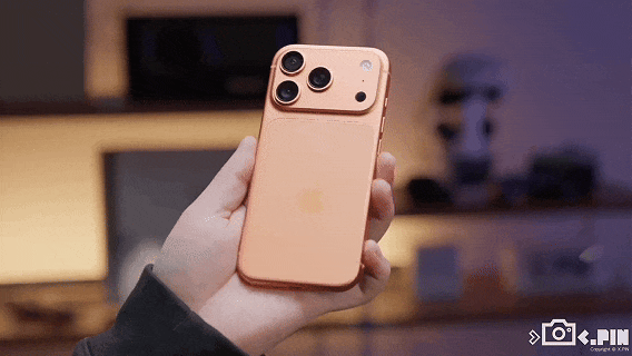 一年花上千块来录音，是韭菜还是真有用？