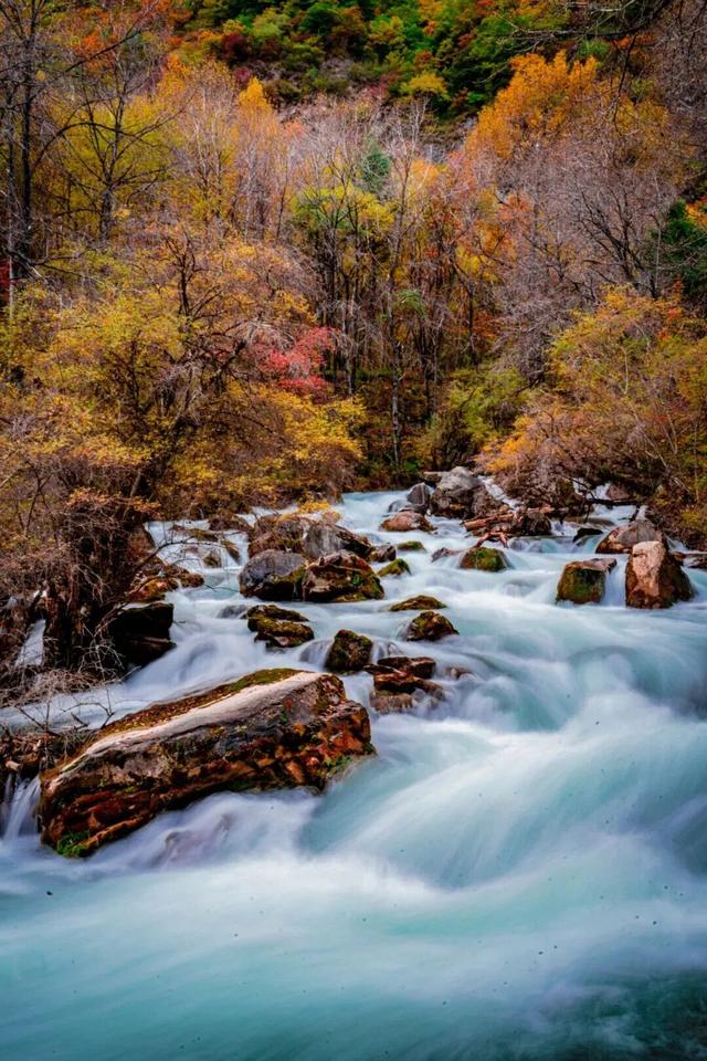 松坪沟的秋天，把油画里的颜色都搬来了吧
