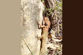 盘点最火网络热词，时髦语158个，你知道几个？图片