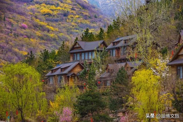 七家景区免费福利!淄博春节“错峰游”大招上线!现在出发刚刚好