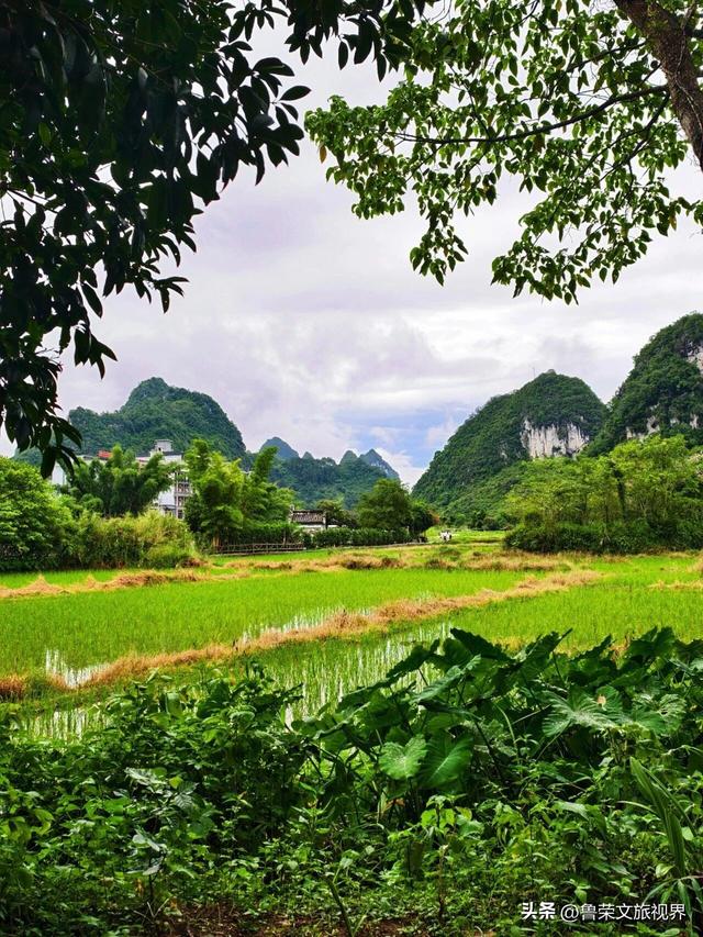 靖西鹅泉：藏在桂西的人间瑶池