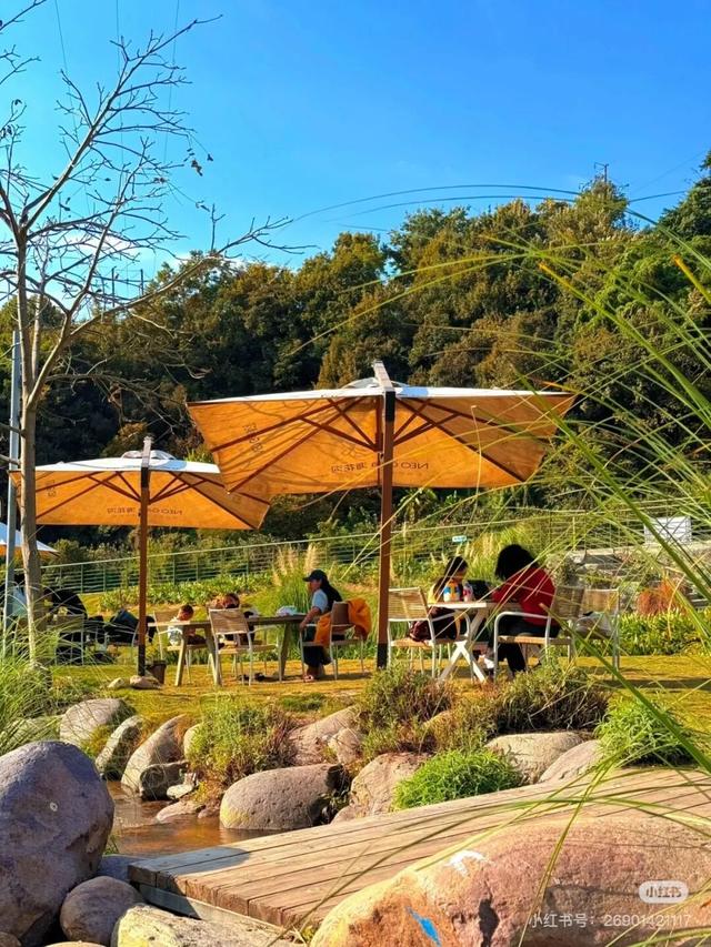 比西昌人少，比昆明更近！高铁直达20℃小众春城，赏花摘果泡温泉！3元草莓吃到撑~
