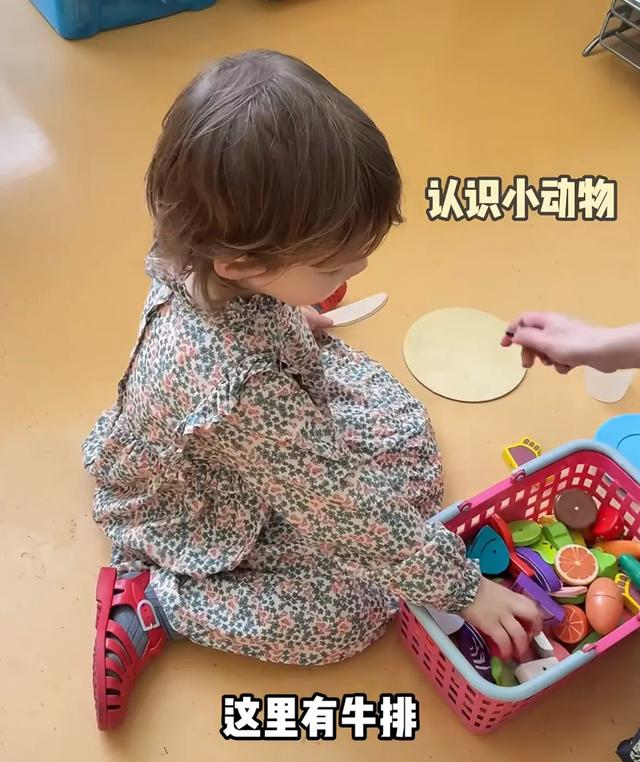 女儿开学第一天，董力阿诺全家出动，阿诺给女儿手工制小被子