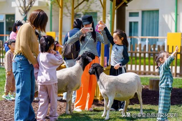 秦皇岛渔田七里海度假区暑假首刷必看！全天游玩攻略已备好，放心冲！