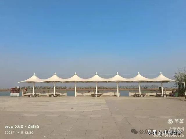 苇风载秋,鹤影映波——河北黄骅南大港湿地的初冬漫游| 申艳娟