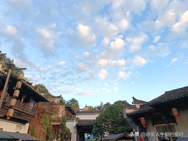 越是乱秋越思乡