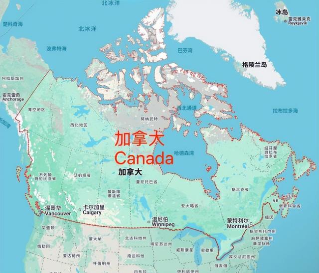 果然，加拿大对华改口，禁止与中国签协定	，65万吨油菜籽白买了？