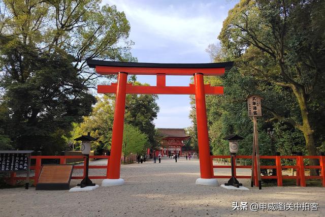 日本京都：走进贺茂御祖神社（下鸭神社）