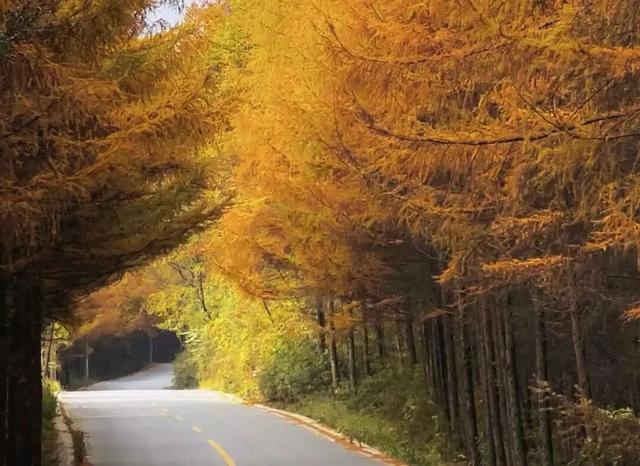 初冬赴高桥：山水藏诗 古迹含情