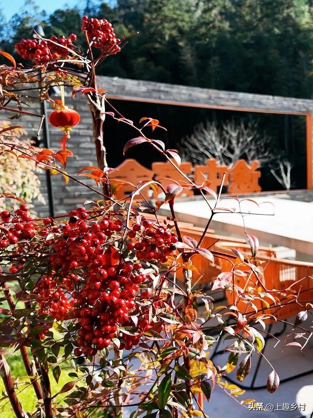 五一“逃跑”计划:去乡村,见天地!