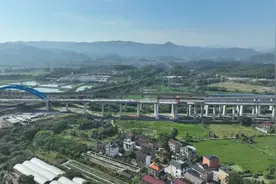 更近一步！杭衢铁路全线架梁完成图片