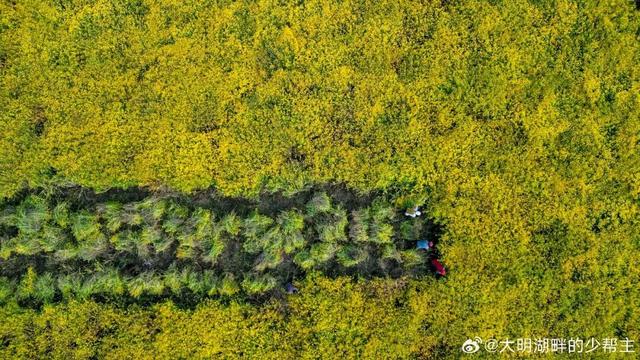 中医药、温泉、养生阿胶，济南的“康养密码”在这里！