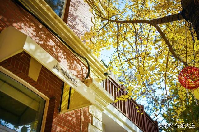 错过等一年~这个周末来这些免费打卡点，拍落叶