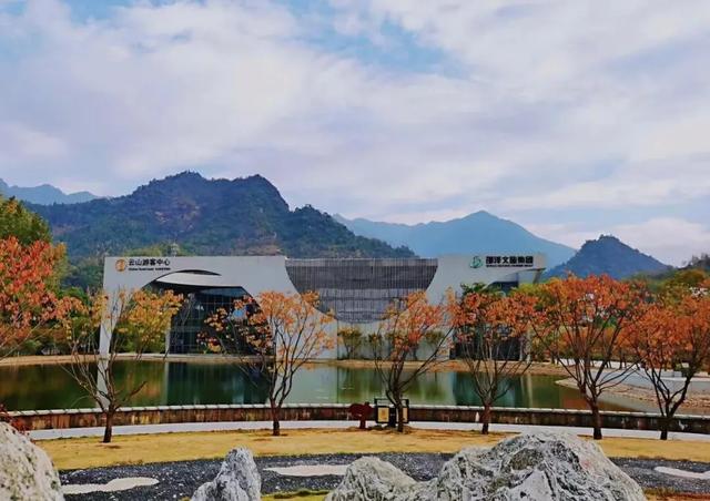 秋冬遛娃“药”新鲜!能吃能玩还能“养”,这条游玩路线一站式拿捏