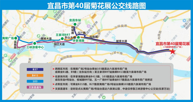 免费！宜昌菊花展来了