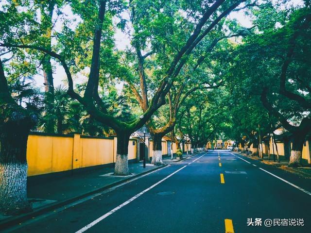 南京！南京！毛宁司长带我们不一样的打卡游。
