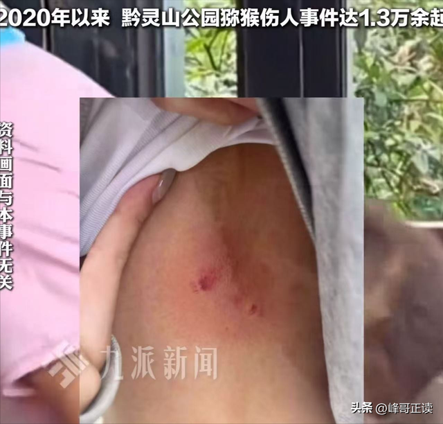 后续！男子大骂景区大爷，身份被扒评论区沦陷，南京文旅意外躺枪