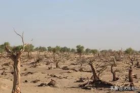 最缺山的大国：面积769万平方公里，为什么95%以上土地无人居住？图片