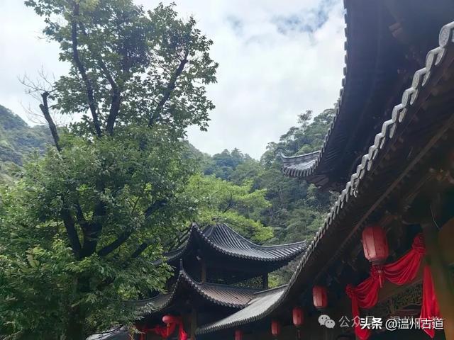 温州这个以畲族始祖命名的4A级景区，秘藏着一座“生物王国”！