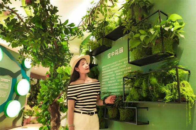 普洱太阳河森林公园联手携程景点玩乐共同打造——云南虫谷森林体验馆震撼上新！