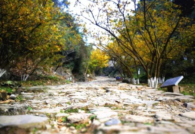 韶关这些秋冬的徒步骑行宝藏路线值得你N刷！喊上搭子，周末就出发去捕捉秋天的限定温柔