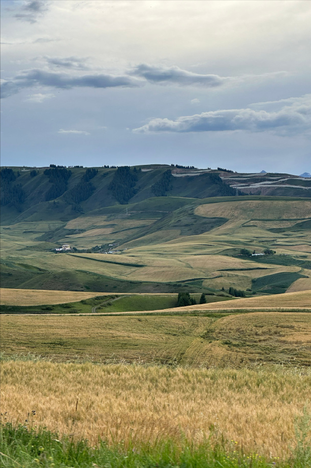 超3万公里，中国最牛环线！108天环祖国一圈，退休自驾路线Top1